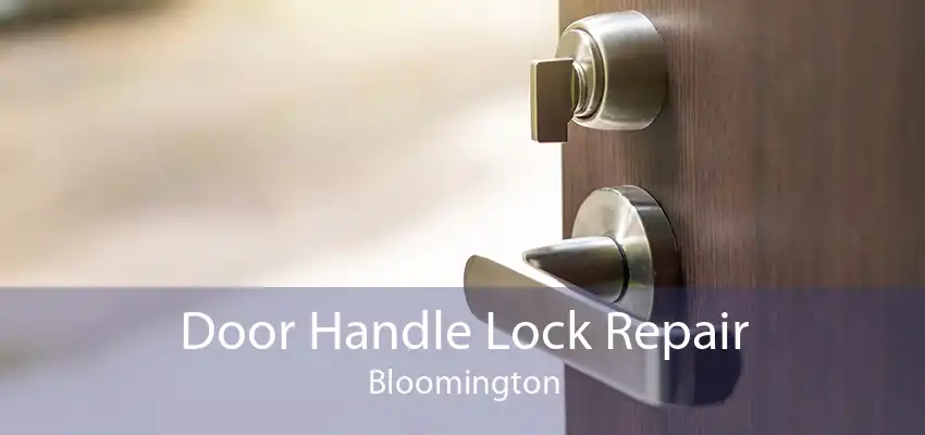 Door Handle Lock Repair Bloomington