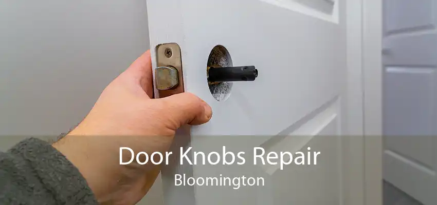 Door Knobs Repair Bloomington