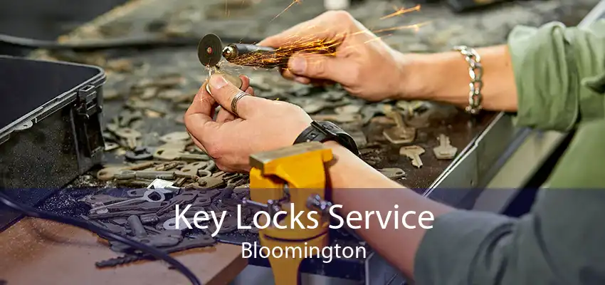 Key Locks Service Bloomington