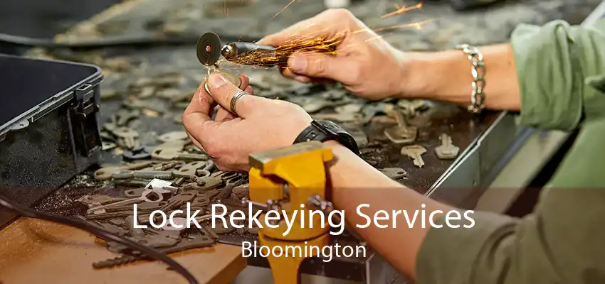 Lock Rekeying Services Bloomington