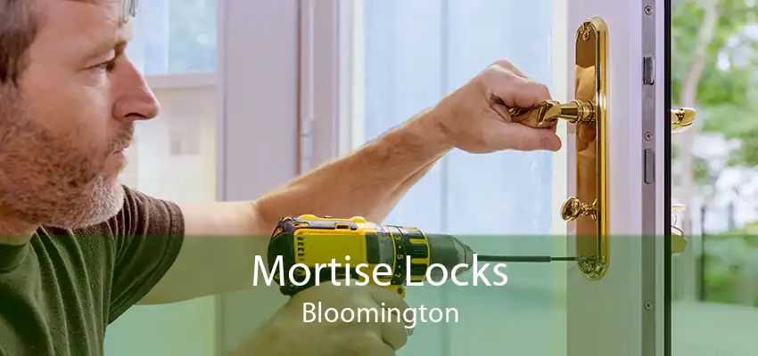 Mortise Locks Bloomington