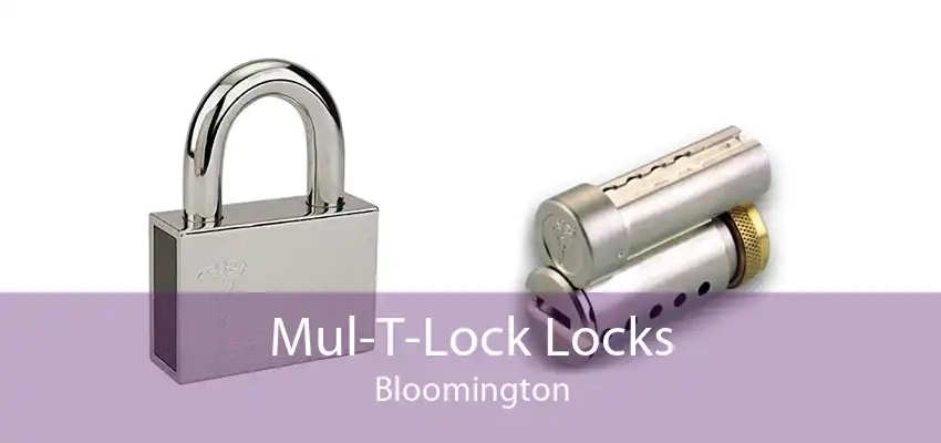 Mul-T-Lock Locks Bloomington