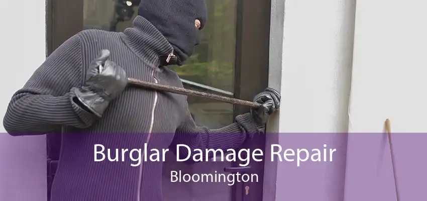 Burglar Damage Repair Bloomington